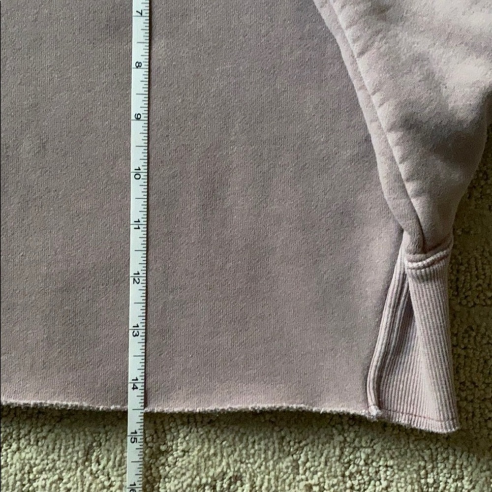 WORN ONCE Tna | Boyfriend Crop Hoodie GD Shd Mauve - Picture 16 of 16